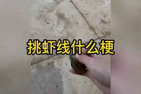 挑虾线的梗你知道吗？不过最近宇将军要真实小6还是挺期待的视频封面