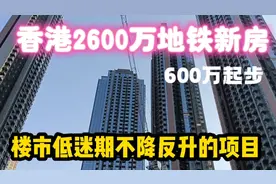 香港2600万地铁新房，山景河景尽收眼底，楼市低迷期不降反升?视频封面