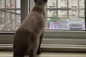 快进来一起玩儿啊图片