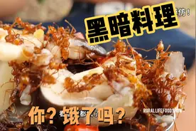 国外猛男两兄弟的黑暗料理。香菇蚂蚁。食欲满满