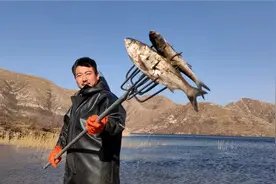 老李精心发明制作的13股钢叉，大显神威，所到之处寸鱼也别想跑视频封面