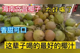 全中国最好喝的椰汁，就在海南省文昌市的东郊椰林！不接受反驳视频封面