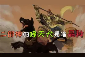 二郎神身边的哮天犬是啥品种，它是不是中国本土的狗呢视频封面