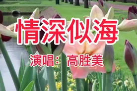 一首《情深似海》经典的旋律，回忆满满视频封面