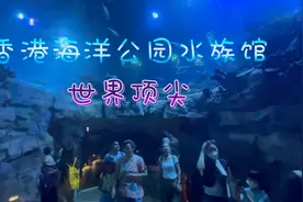 参观世界一流的香港海洋公园水族馆，零距离看海洋生物，大开眼界视频封面