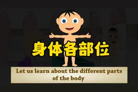 英文科普知识身体各部位视频封面