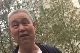 中国🇨🇳山西太谷形意拳专家75岁的郝凤鸣老师打败挑战者《景观》视频封面