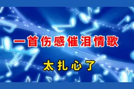 又火了一首歌 太扎心了，原来爱你是一个错误 深情伤感 让人心酸