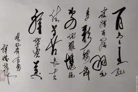 行云流水硬笔书法欣赏（孔雀赞）上联：百鸟之王孔雀美；请赐下联视频封面