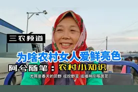 为什么越是社会底层的女性，越喜欢穿鲜亮的衣服？是审美原因吗？视频封面