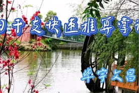 日干支快速推算掌诀视频封面