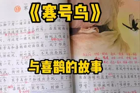 二年级语文上册：精读课文《寒号鸟》了解它与喜鹊之间发生的故事