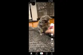 论如何登录Tiktok