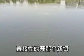 佳钓尼10米大物杆钓鲢鳙不好抛竿怎么办？看我的方法对不对！视频封面