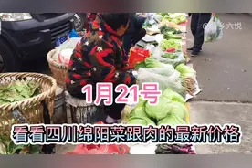 实拍，四川绵阳猪肉大暴跌，看看1月21号猪肉跟菜的最新行情视频封面