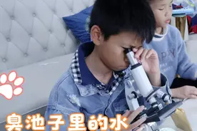 用显微镜看细菌，兄弟俩去臭水池和菜地里找样本，真看到了生物视频封面