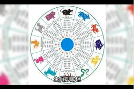 十二生肖配对视频封面