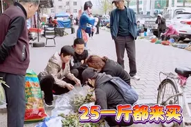 东北野菜之王刺嫩芽，小霞拿市里去卖25一斤，一会儿就全部卖光视频封面