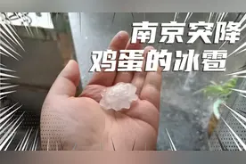 南京突降鸡蛋大的冰雹，惊呆了从小生活在南京的大川视频封面