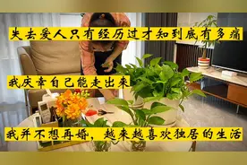 失去爱人的痛只有经历过才知道，不想再婚，越来越喜欢独居的生活视频封面