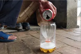 抓蚊子小妙招，只需一个饮料瓶加啤酒，房间蚊子全抓光