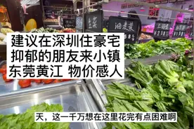 东莞黄江小镇物价便宜，卖掉深圳房子携一千万到小镇能花几辈子啦视频封面
