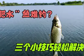 “肥水”鱼难钓吗？教你三个小技巧，鲫鱼鲤鱼乖乖上钩视频封面