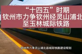 “十四五”时期，钦州市力争钦州经灵山浦北县至玉林城市铁路视频封面