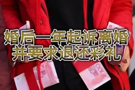 农村小伙婚后一年起诉离婚 退还彩礼视频封面