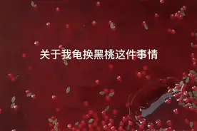 丈母娘家的故事视频封面