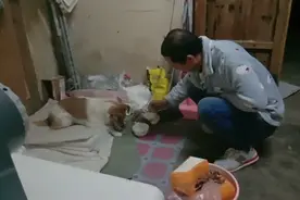 酒鬼老公养了个酒鬼狗，拖鞋一脱狗就知道要干嘛，认怂就对了。视频封面