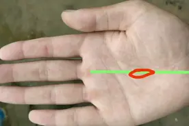 手相解析：事业线上有岛纹，对运势会有很大影响视频封面