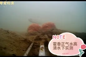 霍香正气水开饵料水下实测诱鱼效果一目了然视频封面