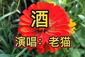 一首《酒》男儿有志在四方，让我端起这杯酒，风里雨里不回头！视频封面