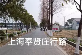 上海奉贤庄行路去看古镇，待续视频封面