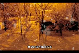 梦到在泥泞的路上行走视频封面