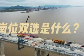 国网岗位双选是什么意思？视频封面