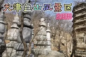 天津5A盘山风景区之塔林，99座墓塔错落有致在山间，何等的壮观