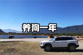哈弗大狗怎么样，用车一年了，拍个纪念视频，谈谈养狗的感受