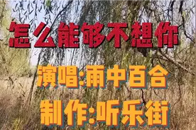 雨中百合歌声凄婉，双月湖景色苍凉《怎么能够不想你》听哭了视频封面