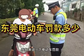 东莞电动车罚款标准 快来看看学知识