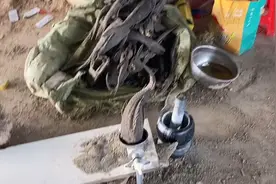 清道夫磨粉做饲料废物利用视频封面