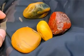 第一次去陕西渭河捡石头，收获四块美石当纪念