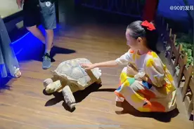 天津天河城里的室内动物园，可以和300多种动物亲密接触，冲鸭🥳