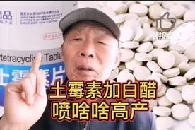 土霉素加白醋，种菜高产好帮手，喷啥啥高产，农药化肥都省了。