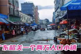 自驾广东韶关新丰县，一个两万人口的安逸小镇，适合在这里养生吗视频封面