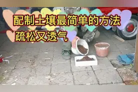 配制土壤最简单的方法，疏松又透气，家庭养花种菜都不错视频封面