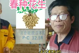 你相信用水泥种花生能增产吗？来听听李教授怎么说，我试试看