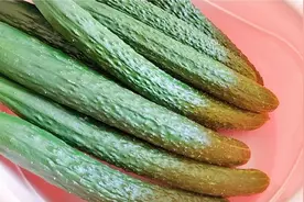 保存黄瓜，我家从不放冰箱，奶奶用了60年的方法，放的越久越好吃