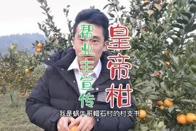 村支书为了帮村民卖果子，竟然也拍起了抖音！视频封面